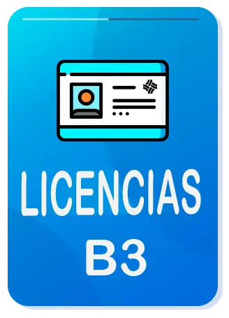 categoria b3 licencia de conduccion